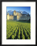 Chillon Chateau  Switzerland