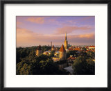 Old Town from Toompea  Tallinn  Estonia