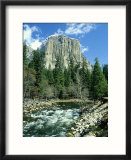 El Capitan & Merced River  Yosemite National Park  USA