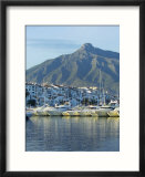 Puerto Banus Marina  Marbella  Malaga Province  Andalucia  Spain