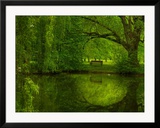 Green World