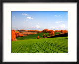 Autumn Landscape