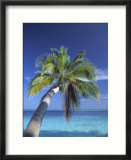 Tropical Beach at Maldives  Indian Ocean