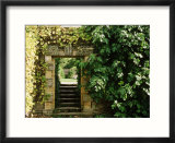 Arch Way in Ornamental Stone Wall with Fig & Vitis
