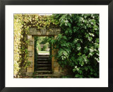 Arch Way in Ornamental Stone Wall with Fig & Vitis
