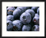 Blueberries