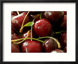 Cherry  Close-up of Red Fruits with Stalks and Covered in Water Drops