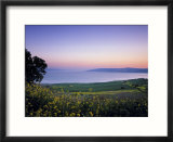 Sea of Galilee  Israel