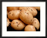 Baby New Carlingford Potato  Close-up of Potatoes on Soil