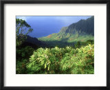 Waimea Canyon Called the Grand Canyon of the Pacific Island of Kauai