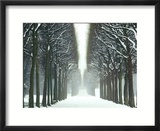 Snow on Tree Lined Avenue in Park  Misty View Parc De Sceaux  France
