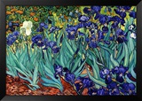 Irises  Saint-Remy  c1889