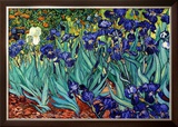 Irises  Saint-Remy  c1889
