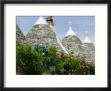 Roof Detail  UNESCO World Heritage Site  Terra dei Trulli  Alberobello  Puglia  Italy