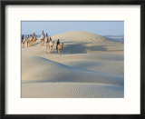 Men Traveling on Camelback Across Sand Dunes  Jaisalmer  Rajasthan  India