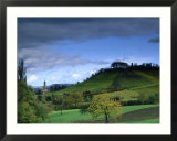 Vineyards in Autumn  Northern Bavaria