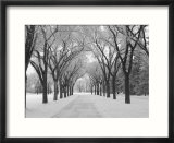 Winnipeg Manitoba  Canada Winter Scenes