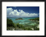 Bird Island  West Indies