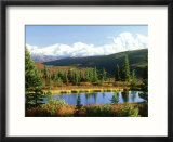 Snow-Capped Mount Mckinley and Beaver Pond  Alaska