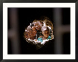 Young Nigerians Peer Through a Hole