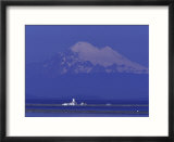 New Dungeness Lighthouse on Dungeness Bay  Washington  USA