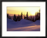 Sunset at Paradise  Mt Rainier National Park  Washington  USA