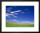 Spring Geen Fields  Palouse  Washington  USA