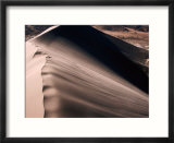 Dune  Bruneau Dunes State Park Near Mountain Home  Boise  USA