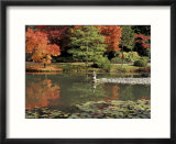 Reflecting Pool in Japanese Garden  Seattle  Washington  USA