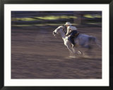 Cowgirl Rides Horse in Barrel Race Rodeo Competition  Big Timber  Montana  USA