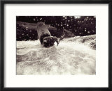 A Female Kayaker on the Gauley River