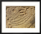 Close-up of a Mayan Relief