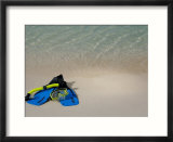 Blue Snorkeling Gear  Renaissance Island  Aruba  Caribbean