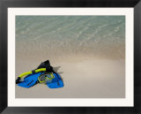 Blue Snorkeling Gear  Renaissance Island  Aruba  Caribbean