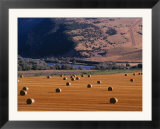 Bales of Hay in a Farmers Field