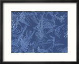 Textured Background