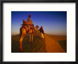 Man Atop Camel  Thar Desert  Rajasthan  India