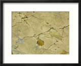 Close-up of Cracked Stone Wall