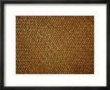Textured Background