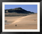 Western Desert Between Siwa and Bahariya  Siwa  Egypt