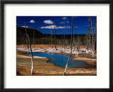 Black Sand Basin and Opalascent Pool  Yellowstone National Park  Wyoming  USA