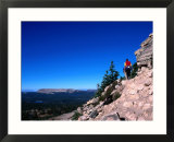 Hiker on Bald Mountain in the High Uinta Wilderness Area  Utah  USA