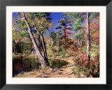 Fall Foliage  Wildlife Sanctuary  Pittsfield  MA