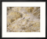 Kayaker Digs Himself out of a Big Hole in Potomac River Rapids