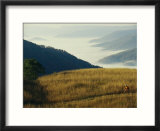Mountain Biking Through Fields Above Fog-Shrouded Elk River Valley