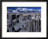 Mono Lake Tufa State Reserve View  Mono Lake  California  USA