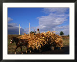 Laden Wagon Near Ivesti  Galati  Romania 