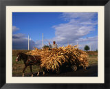 Laden Wagon Near Ivesti  Galati  Romania 