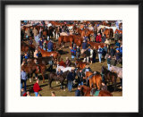 The Masses Gather For The Ballinasloe Horse Fair  Ballinasloe  Ireland