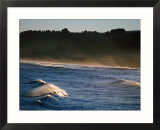 Buchupureo (Tall Wave) Beach  Buchupureo  Biobio  Chile